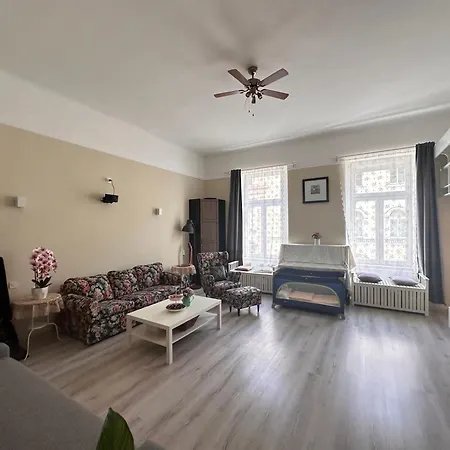 Spacious And Stylish Jokai Apartament